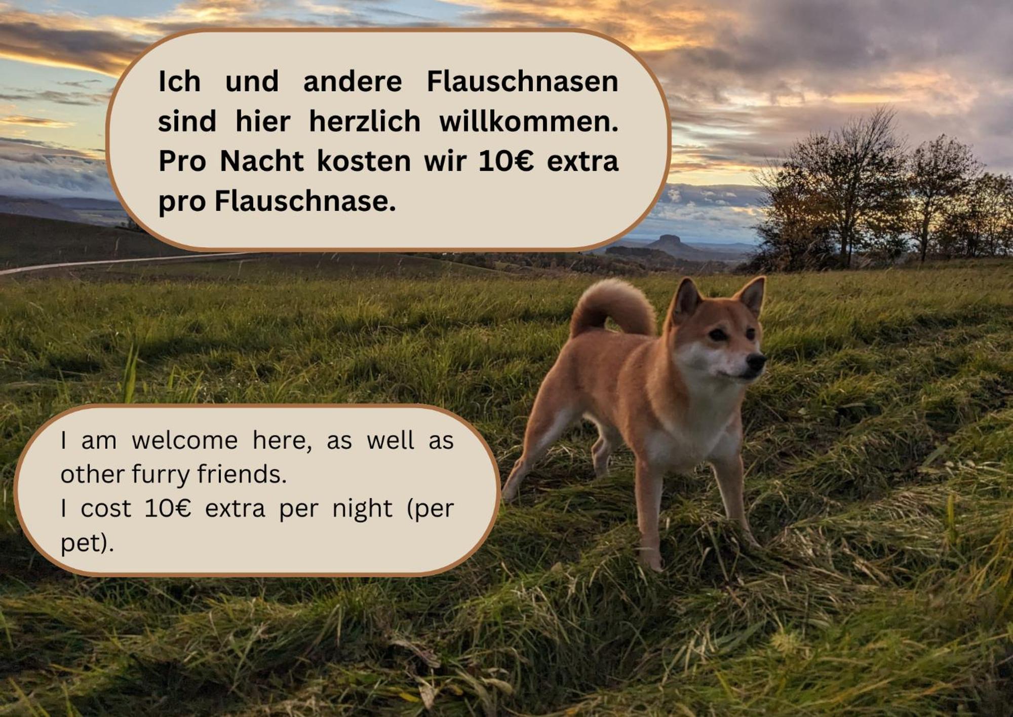 S1 - Urlaubsmagie - Direkt Loswandern, Bis Zu 4P 세브니츠 외부 사진